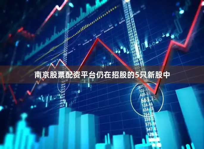 南京股票配资平台仍在招股的5只新股中