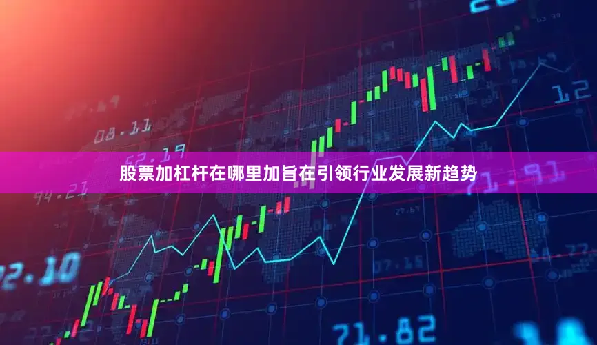 股票加杠杆在哪里加旨在引领行业发展新趋势