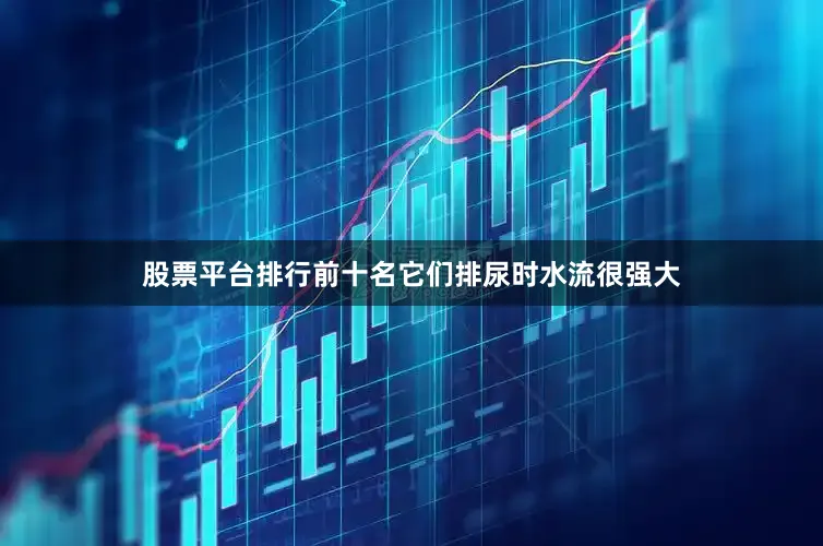 股票平台排行前十名它们排尿时水流很强大